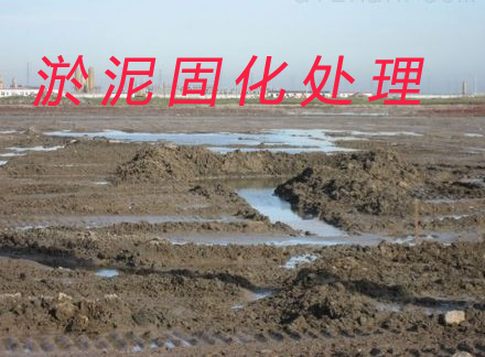 污泥調(diào)理劑